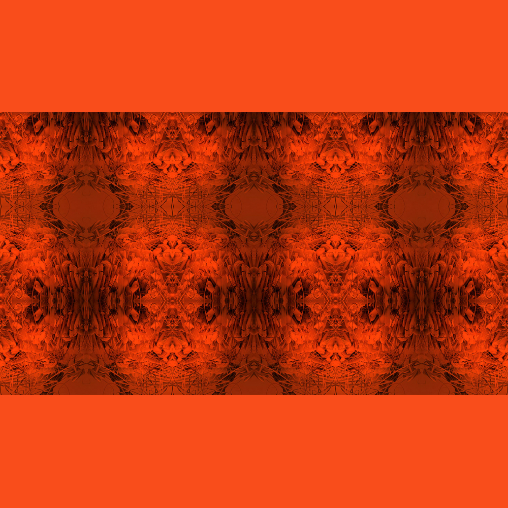 Miscellaneous IV